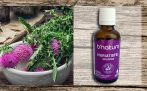 Milk Thistle Seed Oil Drops