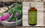 Milk Thistle and Stinging-Nettle Drops