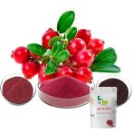 Cranberry extract cranberry powder extract 100g