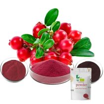 Cranberry extract cranberry powder extract 500g