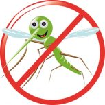 mosquitos and ticks
